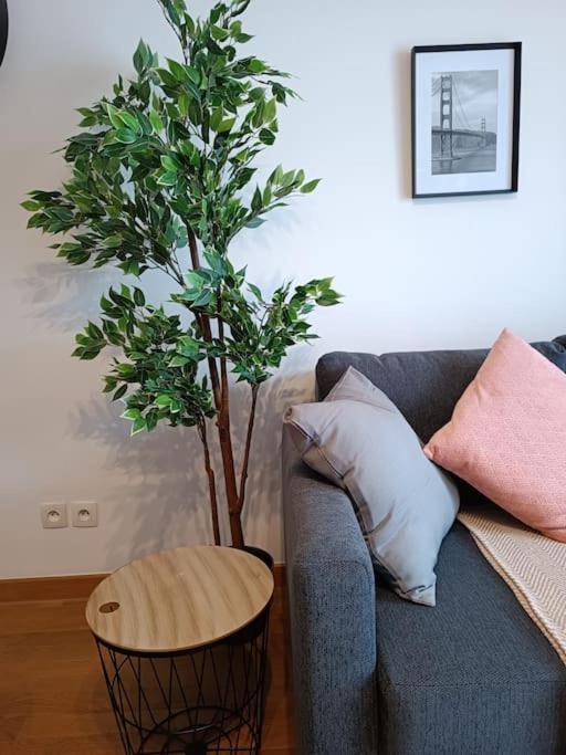 T3 Lumineux - Berges De La Garonne - Parking Apartment Toulouse Bagian luar foto